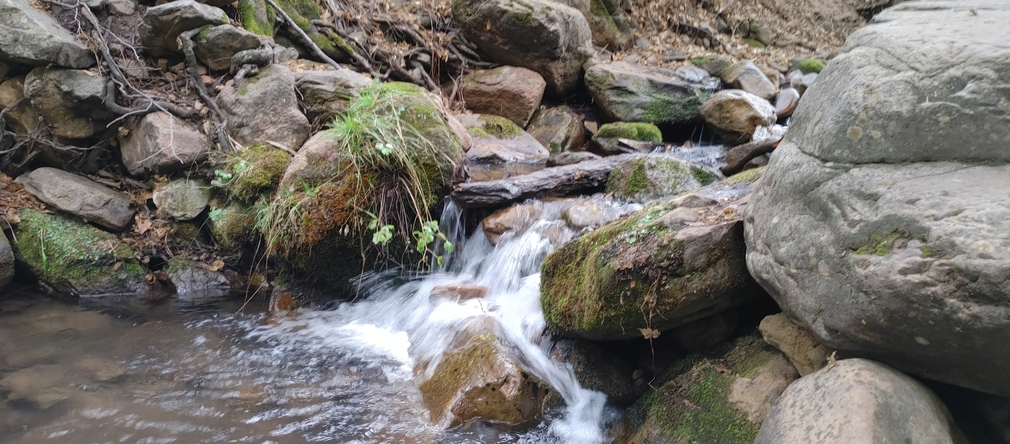 Mossy Rocks and Gentle Stream, Gila County, Arizona
