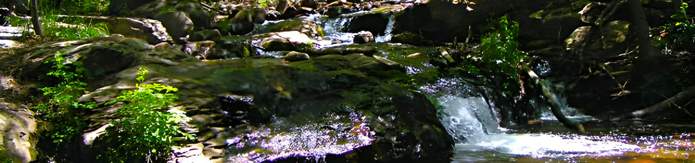 Mossy Rocks and Waterfall, Verde Valley