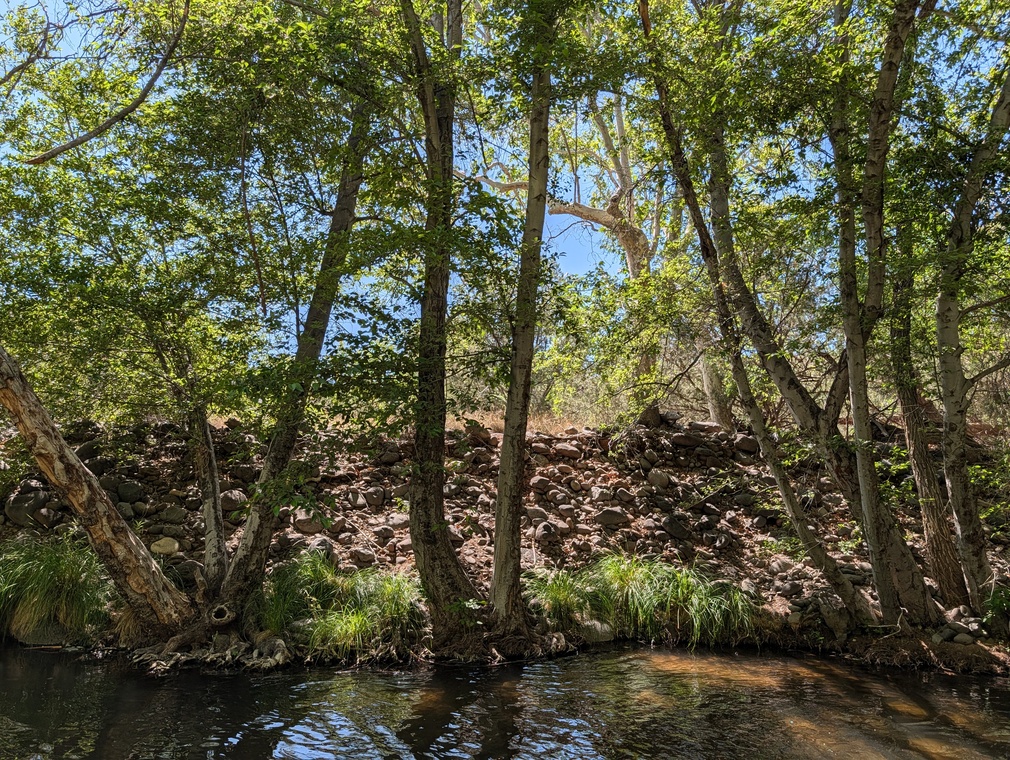 Beaver Creek in Camp Verde