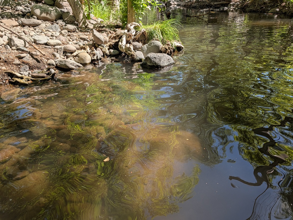 Beaver Creek Reflections, Camp Verde