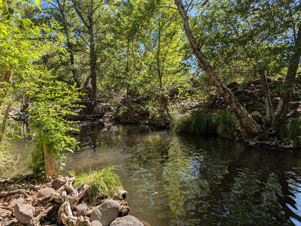 Beaver Creek in Camp Verde